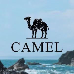 骆驼CAMEL_谢佳莉