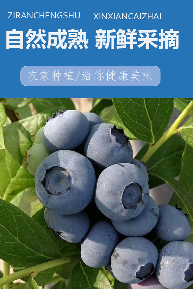详情页2